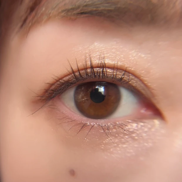 シグニチャーカラーアイズ14 使い方