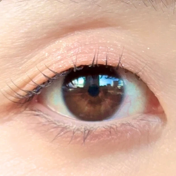 to/one クリスマスコフレ 2024