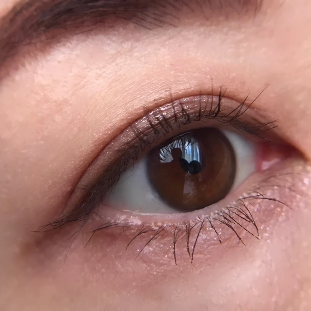 足しパレバイユア限定カラー スウォッチ