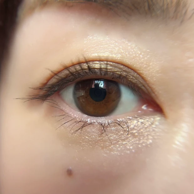 シグニチャーカラーアイズ14 使い方