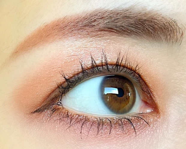 SUQQU スック　ホリデーコレクション　クリスマスコフレ　暖灯