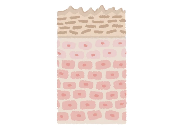 日常生活の癖が刺激となってメラニンが蓄積