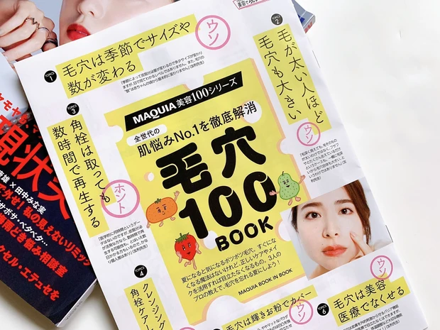 毛穴100BOOK