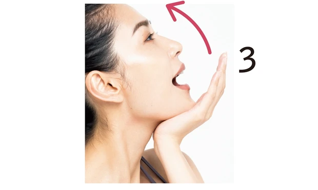 3ワニのように上あごを開く