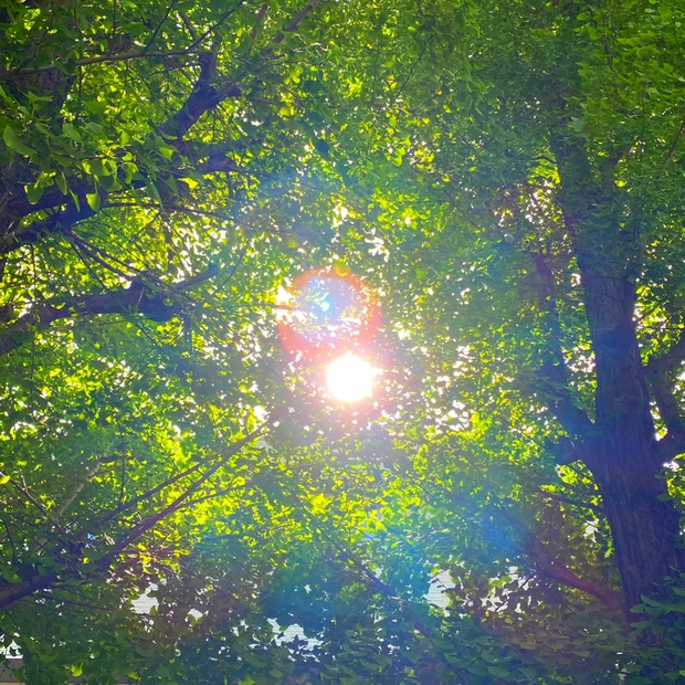 【UV下地】Deep紫外線もガード‼︎しっかり紫外線からお肌を守るなら『アスタリフト D-UVクリア シリーズ』_2