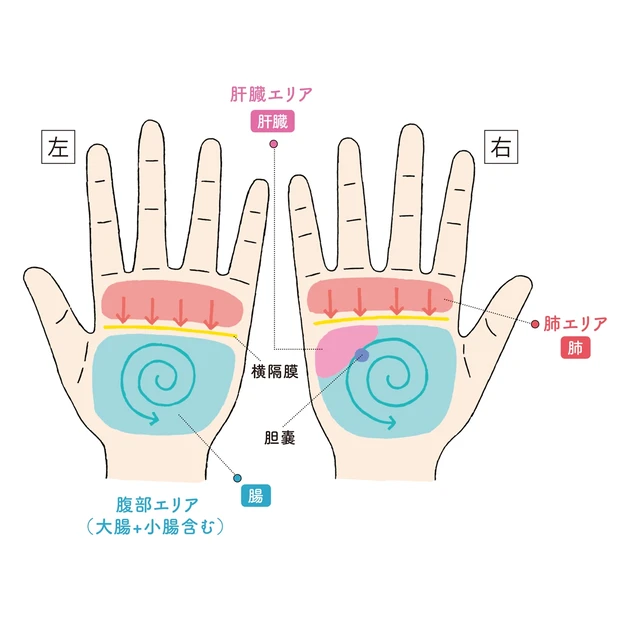 プチ不調は臓器からのsosかも デスクで簡単にできるツボ押しをマスター Happy Plus One ハピプラワン