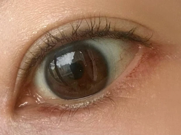 ビーエー　B.A アイシャドウ　アイパレ　デパコス