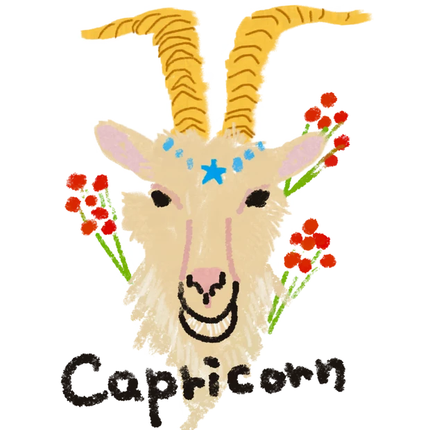 【山羊座】2024年の開運メイク