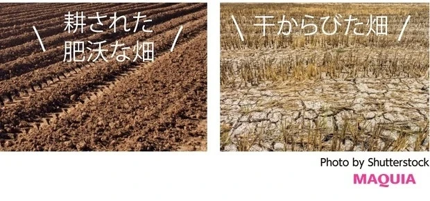 肌年齢30代の角層ケア_硬くなった角層は乳液先行ケアでほぐす