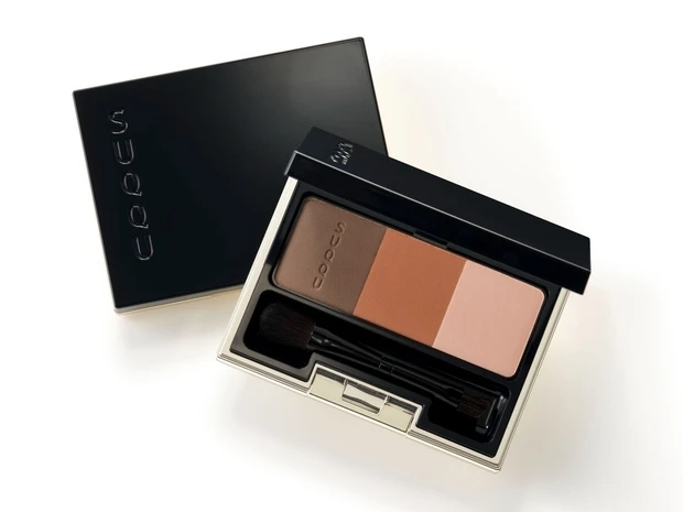 3D コントロール  アイブロウ 101 オレンジブラウン[限定色] ¥7150