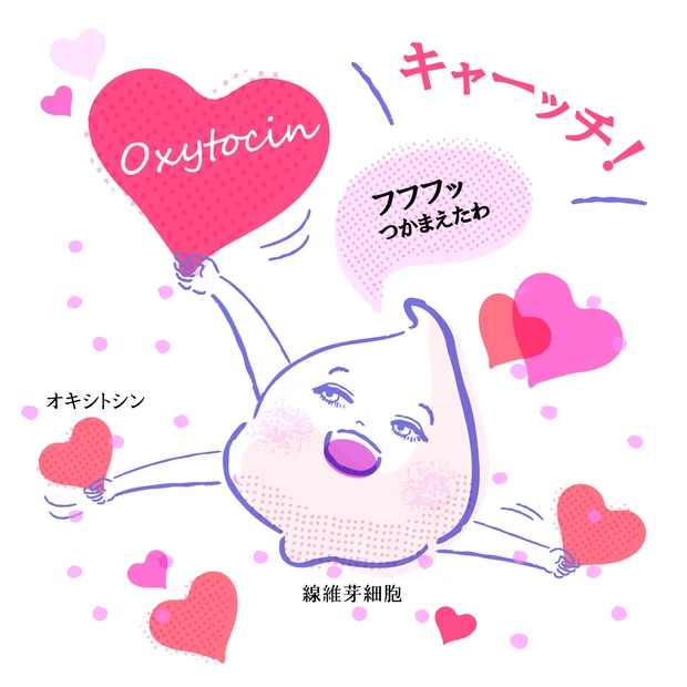 脳が満たされれば、肌の調子も上向きに？！　脳と美肌のよい関係って？
_3