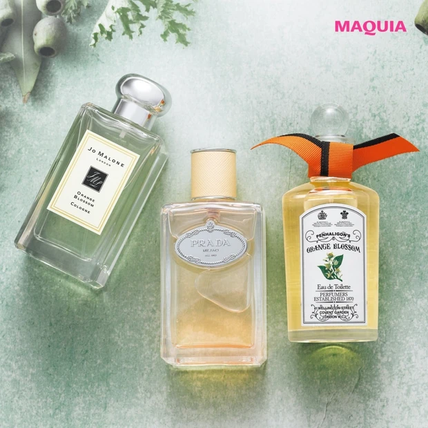 香りで開運！ 信頼感を引き寄せるオレンジの花の香り