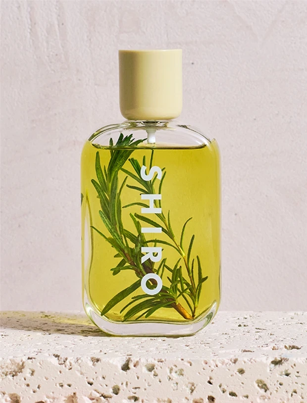 SHIRO Seongsu 韓国初 路面店 聖水 ソンス ハーブブレンダーラボ