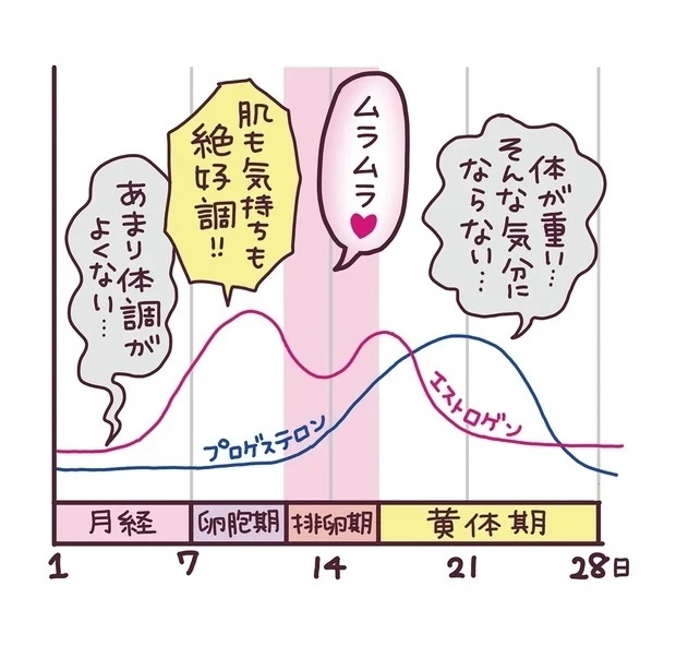 【1位】性欲が高まるのは40代? 生理前はエッチがしたくなる? 女性の「性欲」について医師が真面目に解説