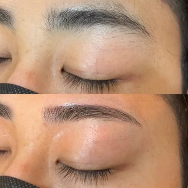 美しい眉毛を見てやってください