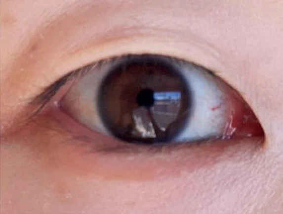 マジョリカ マジョルカ ラッシュエキスパンダー 孔雀ロングのスウォッチ BEFORE