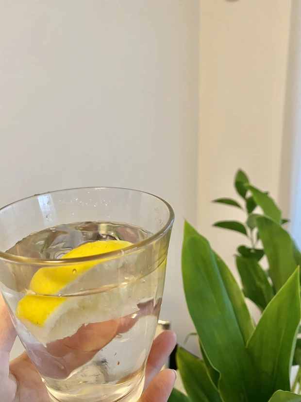 日本ではこの秋から発売！『「朝はぜひこの香りで目覚めたい。」第一位洗顔料（私的）』_2_1