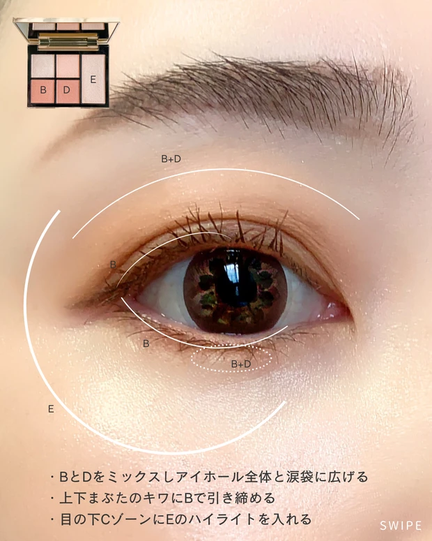 MAQUIA インフルエンサー YOU