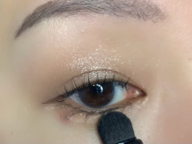 SHISEIDO HANEN FUDE アイ シェーディング ブラシ 使用感 アイメイク