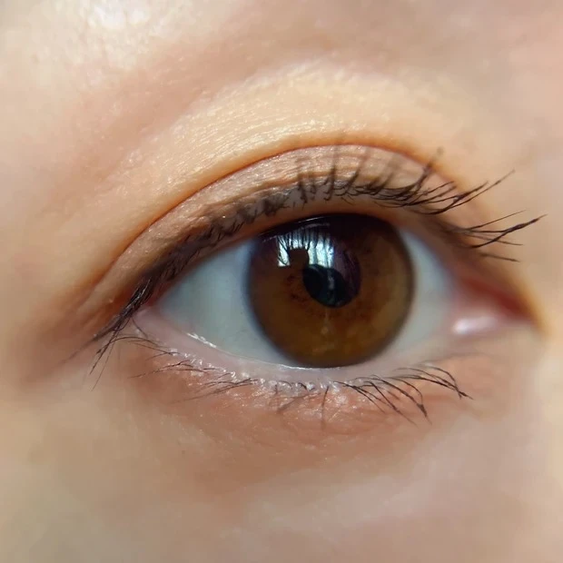 フジコ オートマチックシャドウ 01 ハーモニーモカ