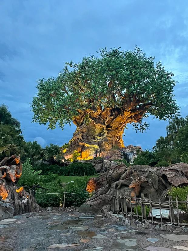 【自己紹介】マキアインフルエンサー１年目のFUMIです！ 海外在住🇺🇸なので今人気の買うべき海外コスメ&溺愛スキンケア・コスメについて発信していきます♡_4_2