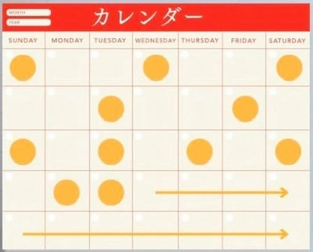 【今さら聞けない！】美容オタクが大好きな成分『レチノール』について分かりやすく解説！_2