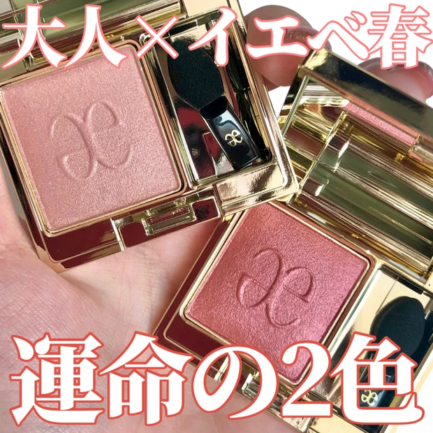 予定外なのに最高♡Elegance新色でまさかの沼落ち😂✨