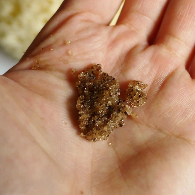 抗酸化力はオリーブオイルの20倍!?タマヌオイルでエイジングケア!!_5_1