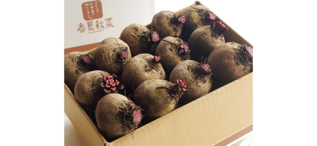 北海道・杉本農産のビーツ