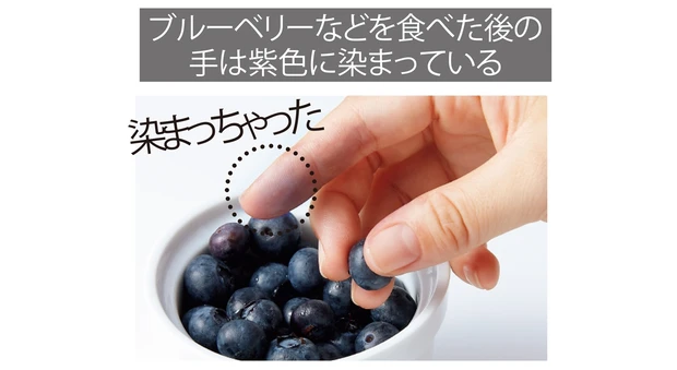 【実験7】角層の最表層は簡単に染まる