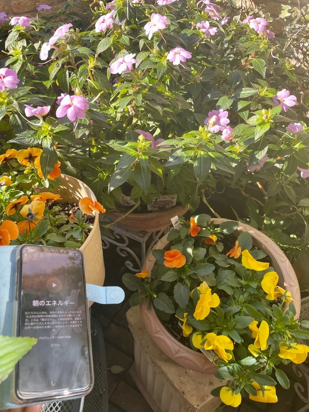 新年から始めた新しい習慣 マインドフルネスアプリで音楽も。_1_1