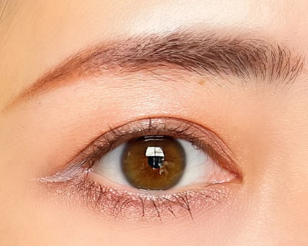 CANMAKE キャンメイク プティパレットアイズ プリュムフラワー