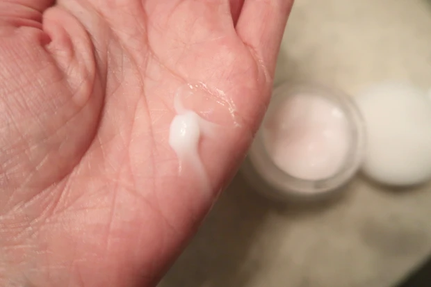 【デイクリーム＆ナイトクリーム】KANEBO フレッシュ デイ クリーム、FAMMUE ローズウォータースリーピングマスク_5_2