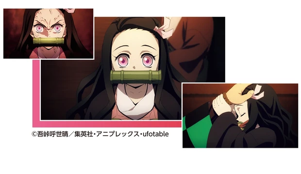 竈門禰豆子（かまどねずこ）