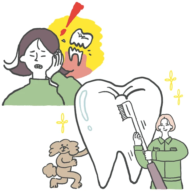 【歯と口腔治療の最前線】長年の酷使で歯が“破折”!?マチュア世代は要チェ…