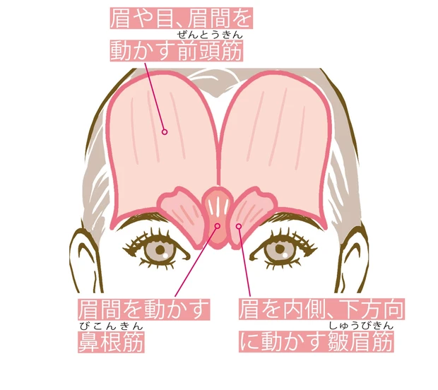 おでこの老廃物とモリッと眉を解消