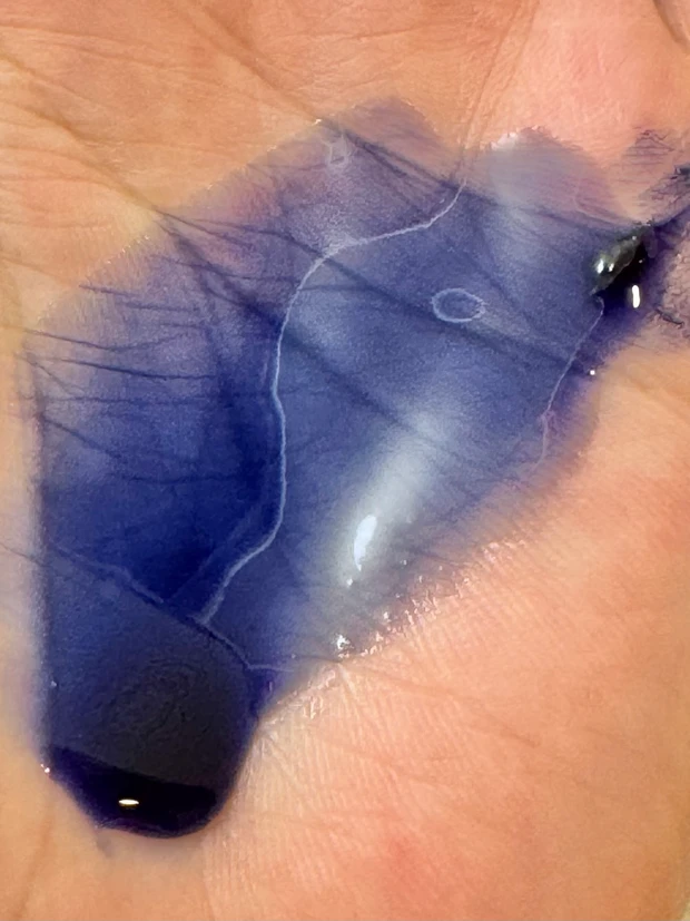 青シャン　ラシカ