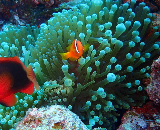 【自己紹介】マキアインフルエンサー１年目のえみです！ これから忙しいママでも綺麗になれるセルフ美容術について発信していきます♪_2_2