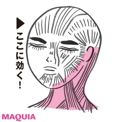 日常のしぐさで顔痩せ_［効果］むくみ解消、顔の引き締め
