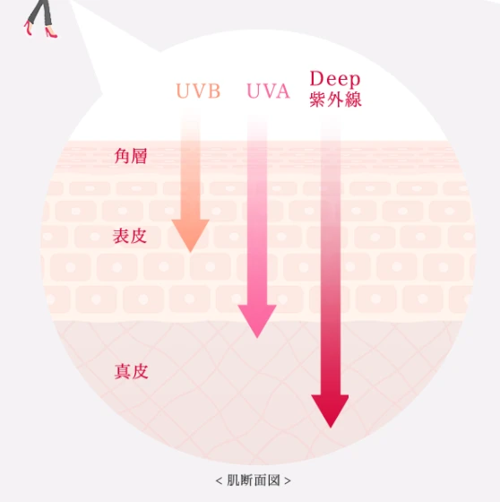 （出典：https://ls-jp.fujifilm.com/astaliftbrand/duvclear/technology/）