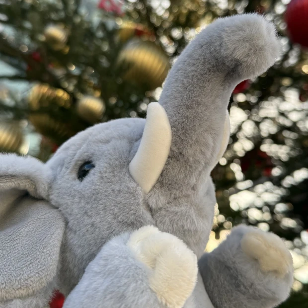 【自己紹介】マキアビューティーズborotamaです！美容について発信して参ります！