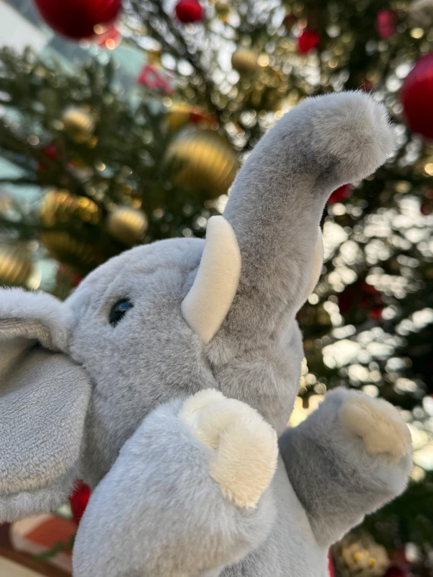 【自己紹介】マキアビューティーズborotamaです！美容について発信して参ります！_1