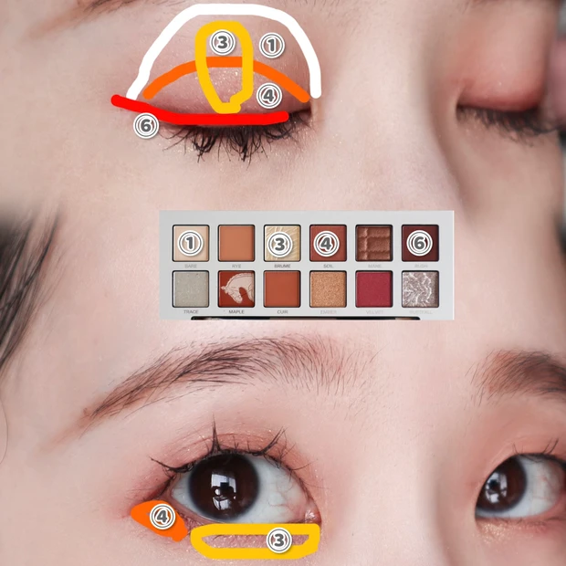 パーフェクトダイアリー エクスプローラ 12色動物パレット オータムチェストナット 塗り方