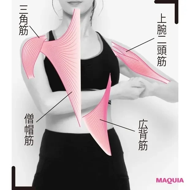 【食事と合わせて取り入れたい筋トレ】ココを強化! 広背筋(こうはいきん)・僧帽筋(そうぼうきん)・三角筋(さんかくきん)・上腕二頭筋(じょうわんにとうきん)