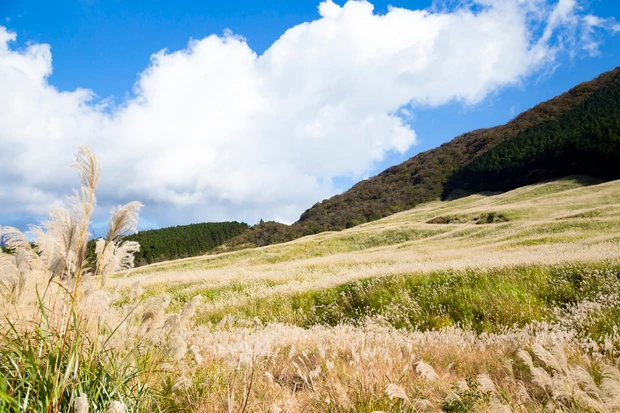 月山もも ひとリート ソロ登山 初心者 登山 半日 日帰り リトリート 関東 神奈川 箱根 金時山