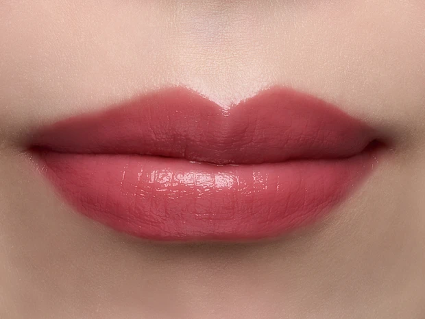 ブルベ冬 リップ おすすめ つけ試し スウォッチ ヴィセ Visee