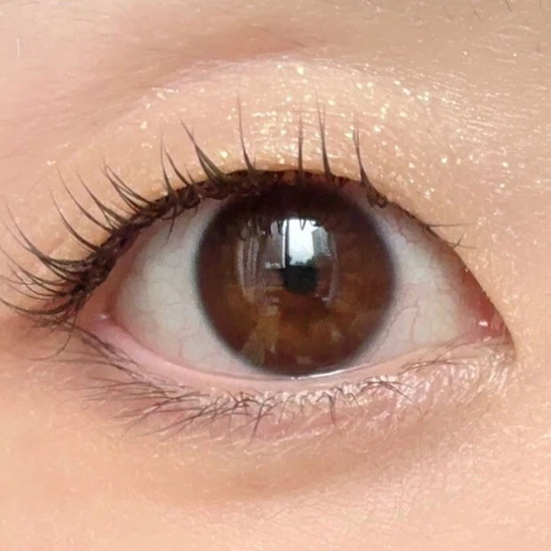 トーン ホリデー スイーツ ボックス