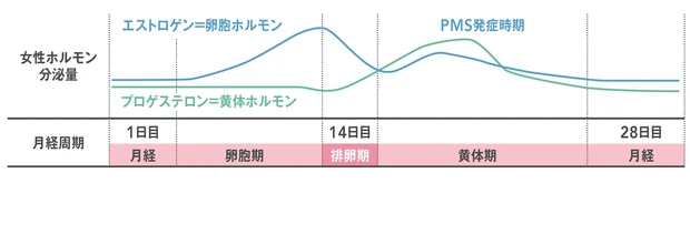 生理周期のリズムで変わる体、心、肌の調子