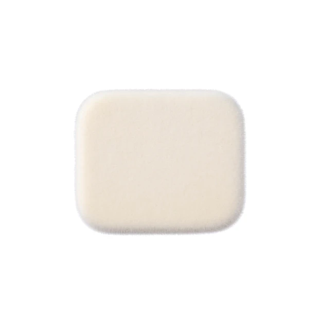 プリスティーンコンプレクションパウダーファンデーション スポンジ