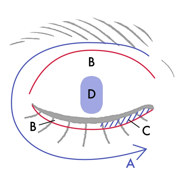 【一重アイメイク】ベスコス受賞セルヴォークのヴォランタリーベイシス アイパレットはこう使う!_3_2